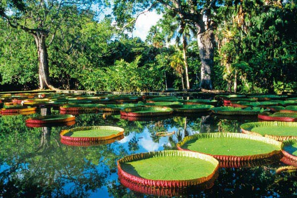 Exploring the North Of Mauritius Tour