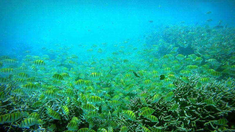 Exploring the Magnificent East of Mauritius Tour