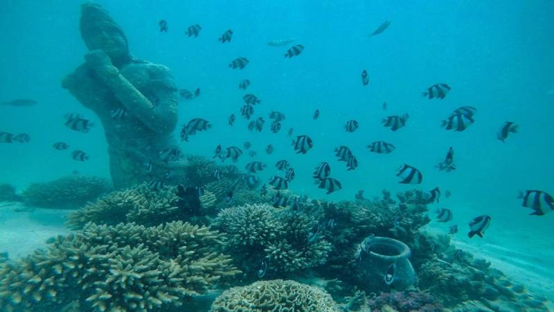 Catamaran Adventure to Îlot Gabriel, Flat Island & Coin De Mire: Lunch & Transfer Tour