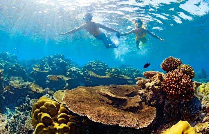 Catamaran Adventure to Îlot Gabriel, Flat Island & Coin De Mire: Lunch & Transfer Tour