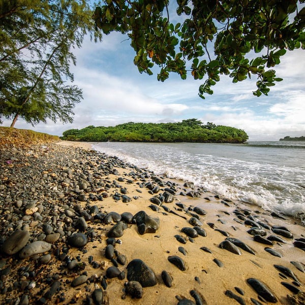 Simply the Magnificent South-West of Mauritius: Full Day Picturesque Tour