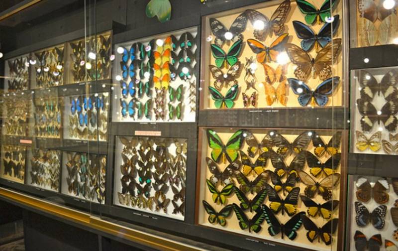 Southern Tales Tour: Full Day Tour Including Crocodile Park & Seven Coloured Earth