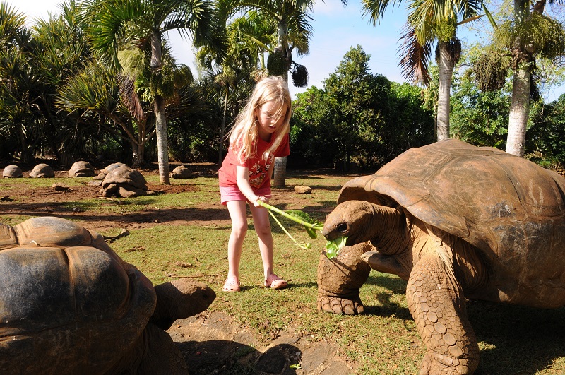 Southern Tales Tour: Full Day Tour Including Crocodile Park & Seven Coloured Earth