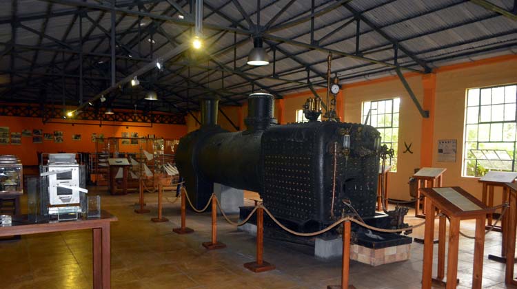 Southern Treasures: Full Day Tour including Tea Route, Seven Coloured Earth & Waterfalls