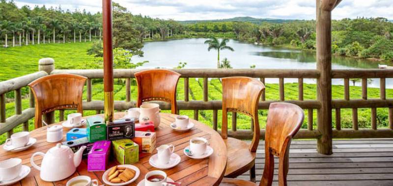 Southern Treasures: Full Day Tour including Tea Route, Seven Coloured Earth & Waterfalls