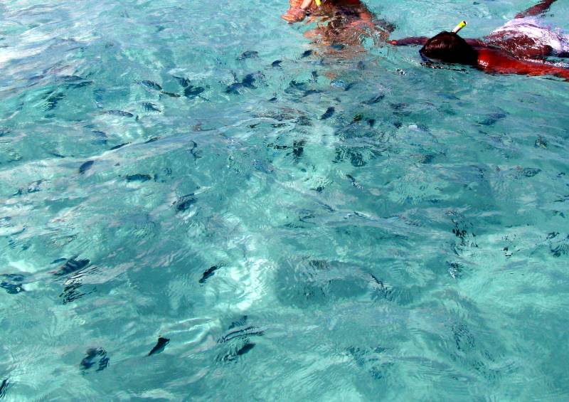 Spectacular Catamaran Trip to Ile Aux Cerfs Including Undersea Walk, Lunch & Grse