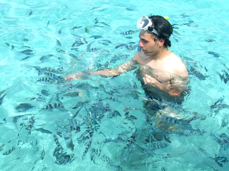 Spectacular Catamaran Trip to Ile Aux Cerfs Including Undersea Walk, Lunch & Grse