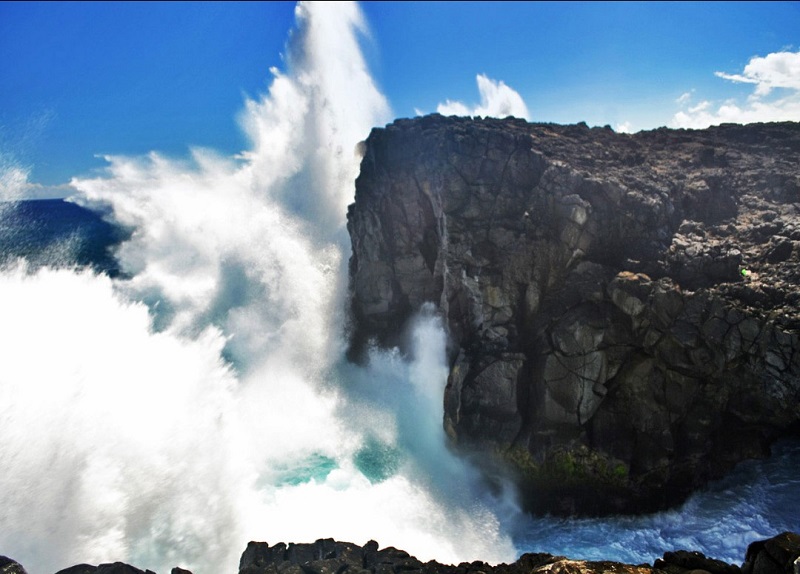 The Gorgeous South of Mauritius: Full Day Tour Including Tea Route & Crocodile Park