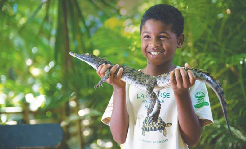 The Gorgeous South of Mauritius: Full Day Tour Including Tea Route & Crocodile Park