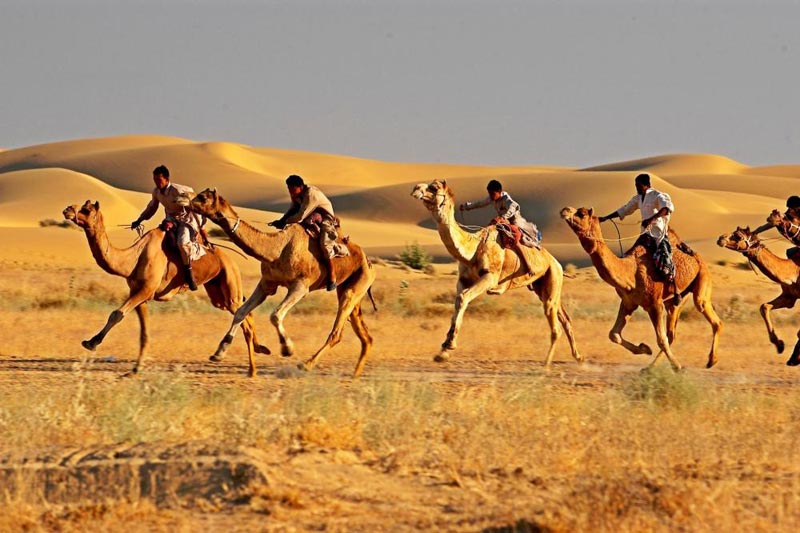 Rajasthan Desert Safari Toutr