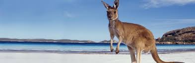 Australia Extravaganza- 8065