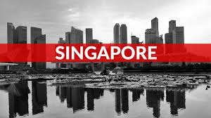 Stupendous Singapore Tour