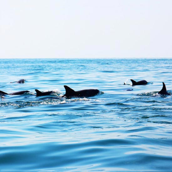 Off The Beaten Track Into Ancient Persia Tour