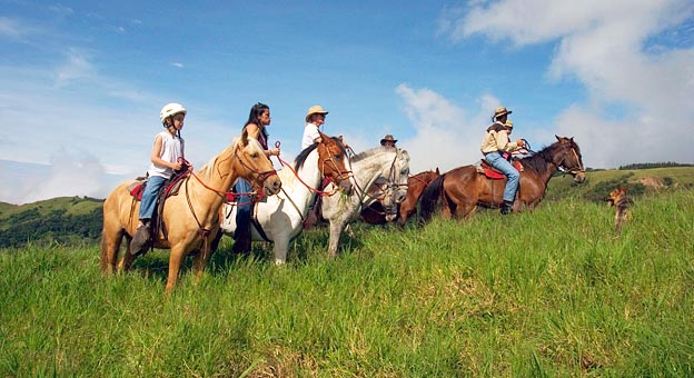 Volcanoes And Wildlife Adventure Tour Image