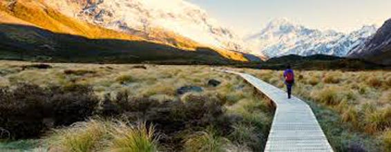 New Zealand - Northern Escape 4 Nights / 5 Days
