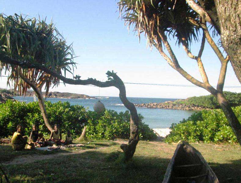 Lemurs & Rainforests - RN7 route - Anakao Beach Tour Image