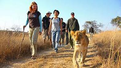 Kruger Park - Swaziland - Zululand Self-Drive Tour Image