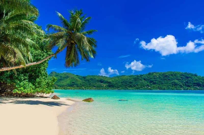 Seychelles Islands: Mahe - Denis Private Island Tour
