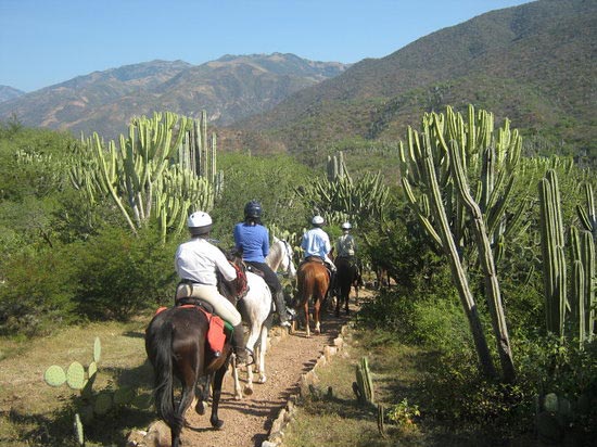 Mexico Horse Riding: Colonial Highlands Tour