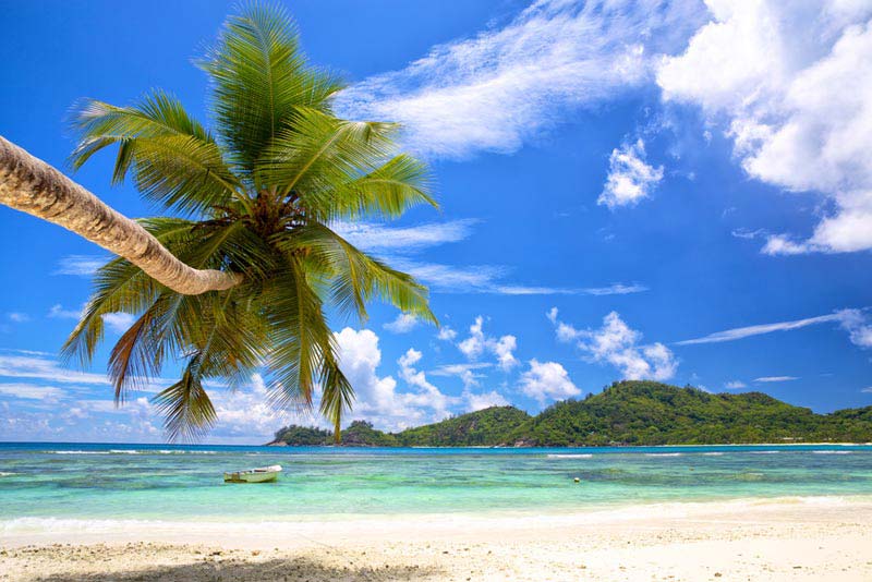 Three Seychelles Islands: Mahe - Praslin - La Digue Tour