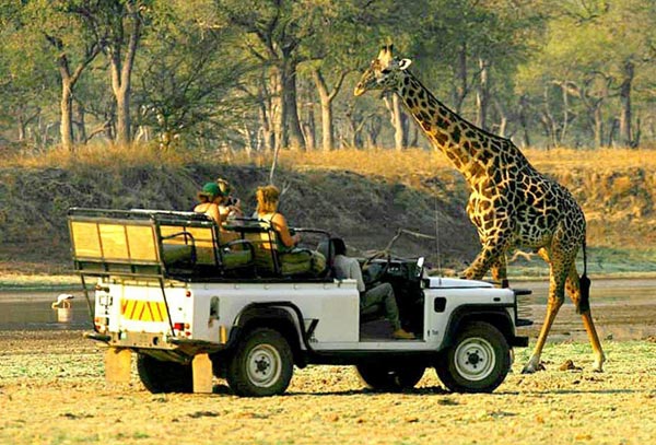 Botswana Safari Adventure - Victoria Falls Tour