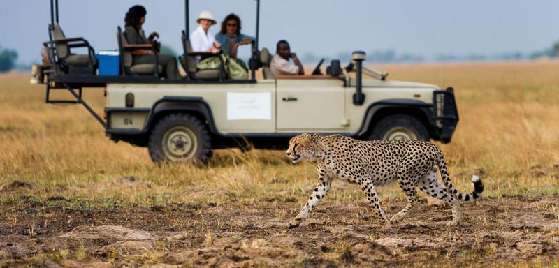 Mozambique Safari - Kruger - Vilanculos Tour