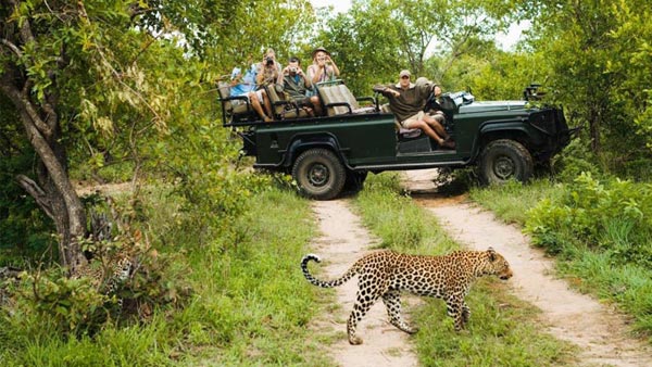 Safari In South Africa And Mauritius Tour