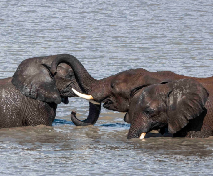 3 Nights 4 Days Arusha to Nothern Circuit Attractions