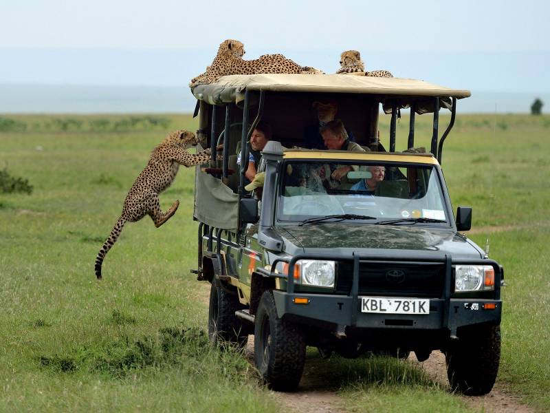1 Night 2 Days Arusha To Tarangire & Ngorongoro Crater
