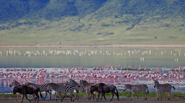1 Night 2 Days Arusha to Tarangire & Ngorongoro Crater