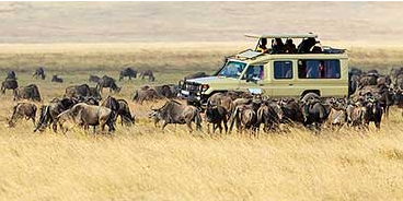 6Night 7 Days The Best of Africas Big Five Safari