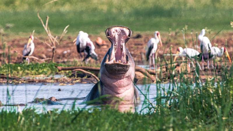 Budget Camping Safari-Manyara, Tarangire & Crater