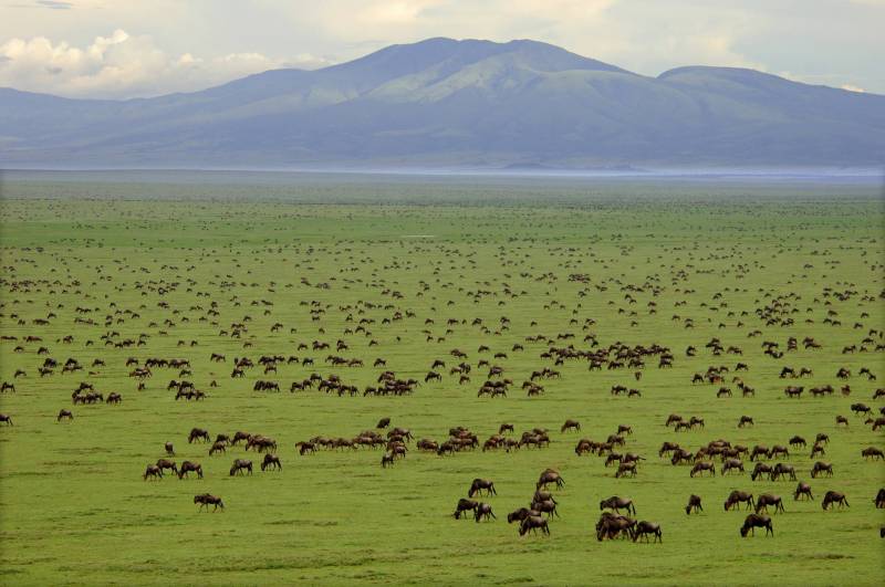 Lake Manyara, Serengeti & Ngorongoro - Luxury Tour