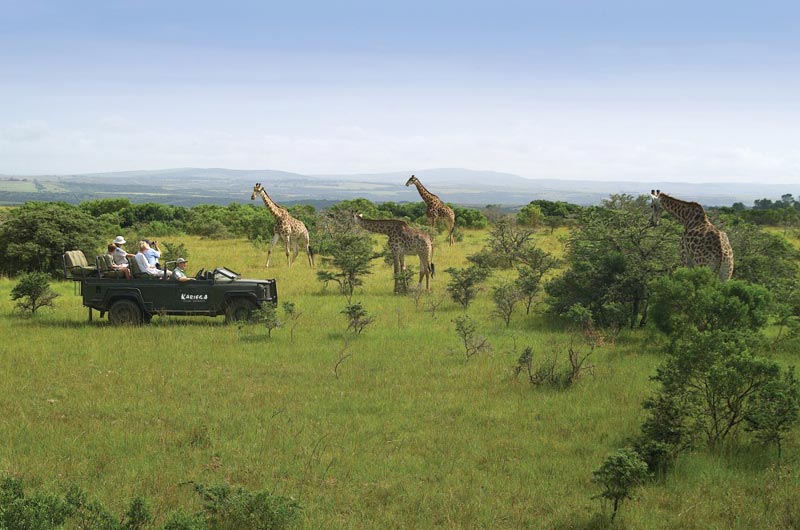 Garden Route & Malaria-Free Eastern Cape Safari Tour