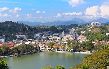 Honeymoon in Sri Lanka Tour