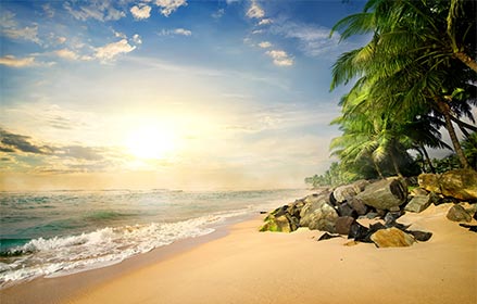 Honeymoon in Sri Lanka Tour