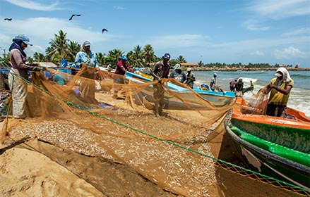 Ayurveda Holiday Tour