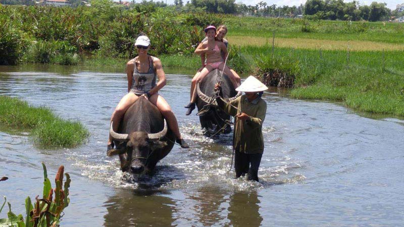 Buffalo Cart And Fishing Life Tour