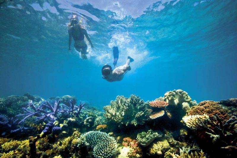 Full Day Snorkeling & Fishing In The North Nov-Apr Tour