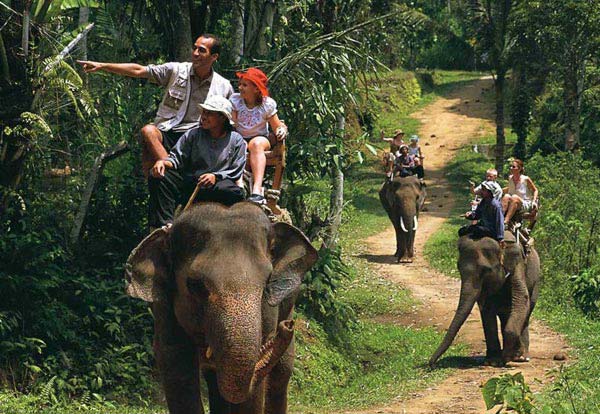 Boating, Cable Car, Elephant Riding Tour