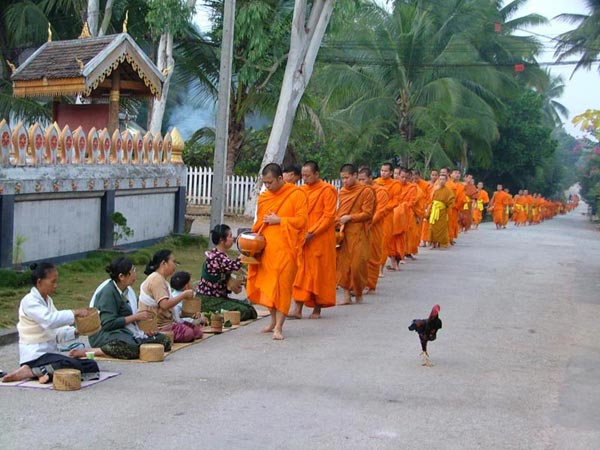 Luang Prabang – Rice Experience – City Tour Image