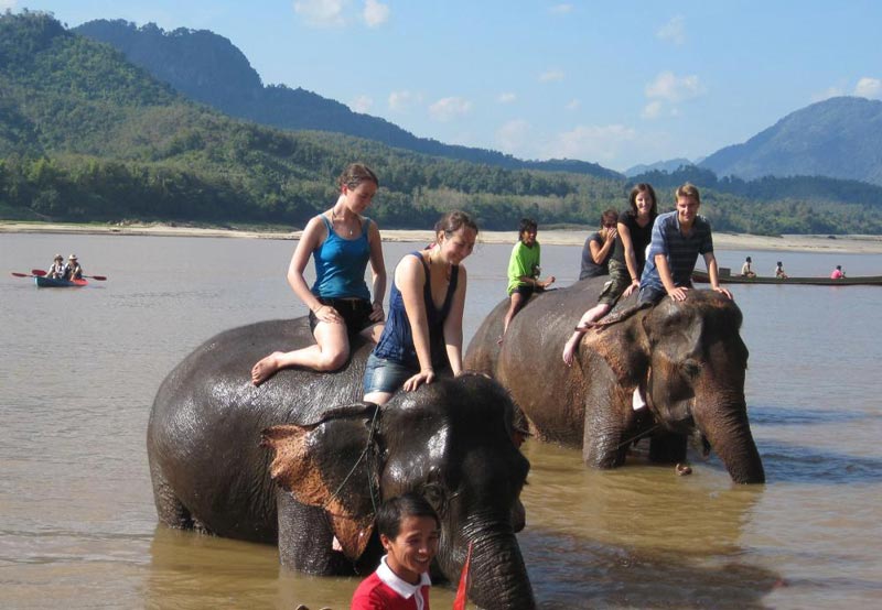 Luang Prabang – Elephant Village – Kuang Si Waterfalls Tour Image