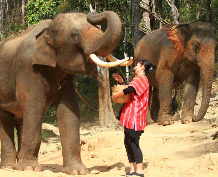 Chiang Rai Full Day Hill Tribes, Elephant, Boat Trip And Handicraft Tour