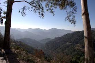 Himachal Highlight With Kasauli Tour