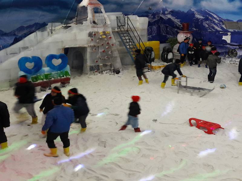 Snow Park Trip in Goa Tour
