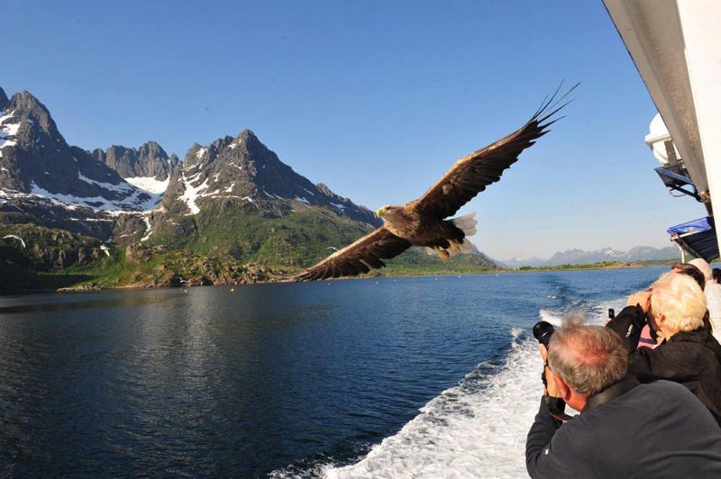 Norwegian Discovery Cruise Tour
