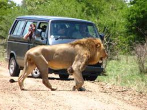 South Africa With Kruger National Park Tour