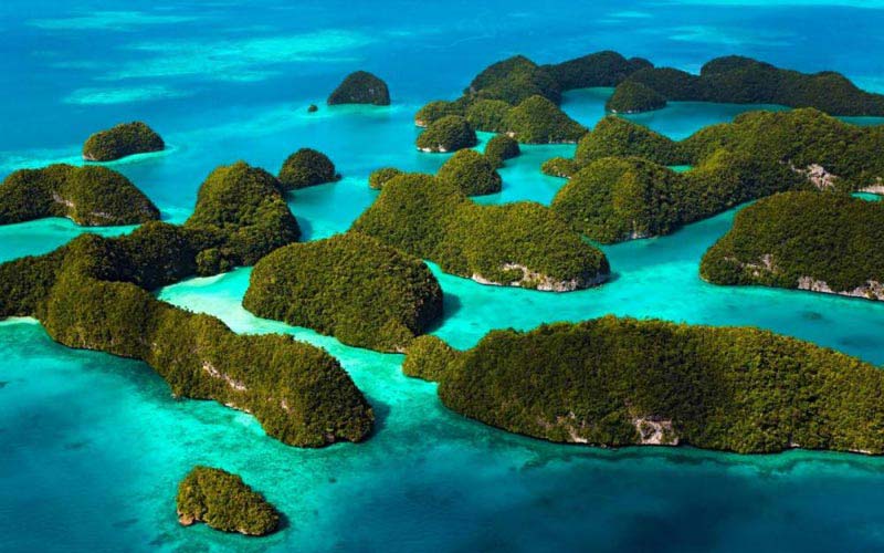 Islands Of Andaman Package