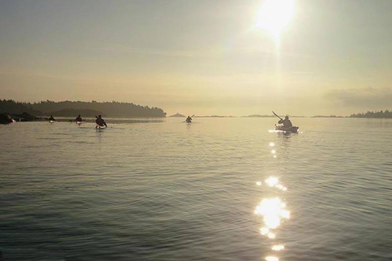 Short Day Or Evening Kayaking Tours For Private Groups