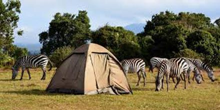 2 Days Trip To Lake Manyara National Park And The Ngorongoro Crater